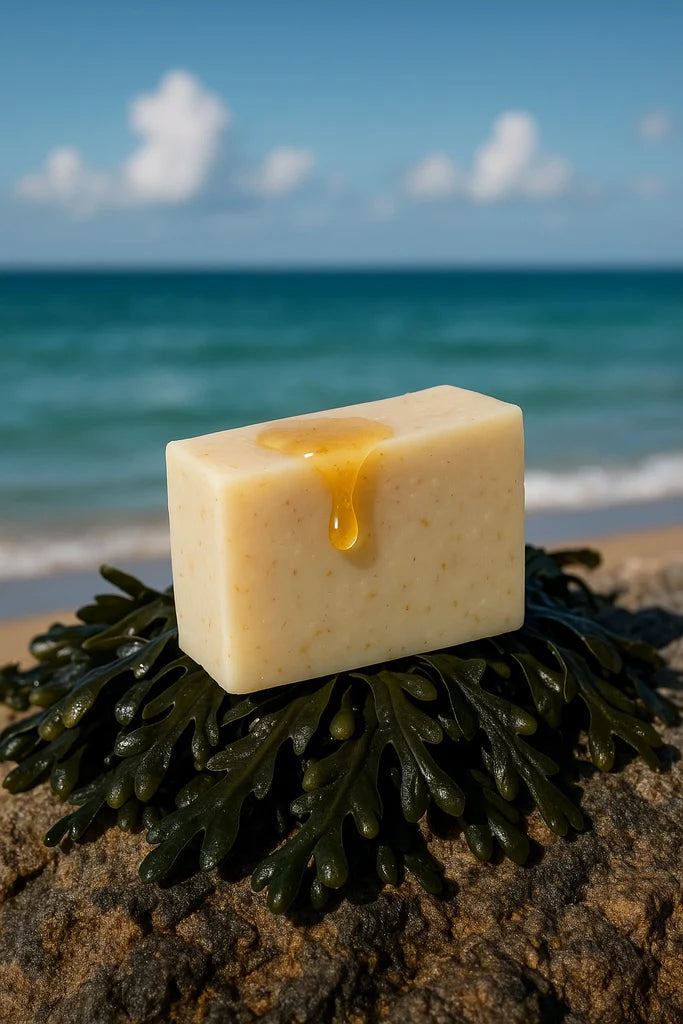 Savon miel - Algues de bretagne