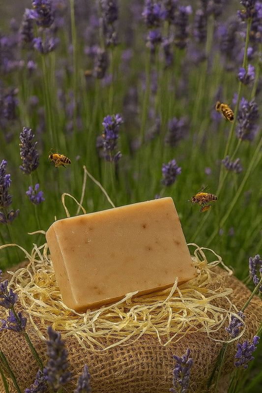 Savon miel - Lavande
