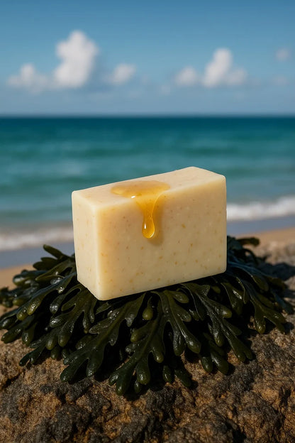 Savon miel - Algues de bretagne