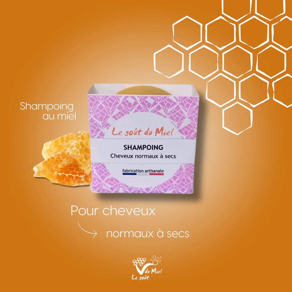 Shampoing 2 en 1 – Cheveux Normaux à Secs